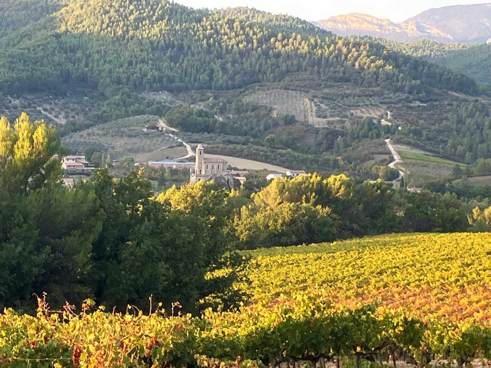 La Clairiere Villa Pierrelongue Exteriör bild